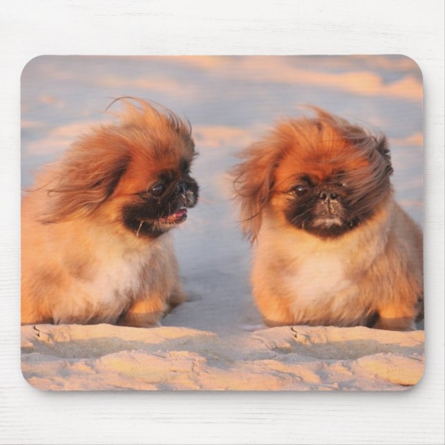 Mousepad Cães bonitos de Pekingese (Frente)