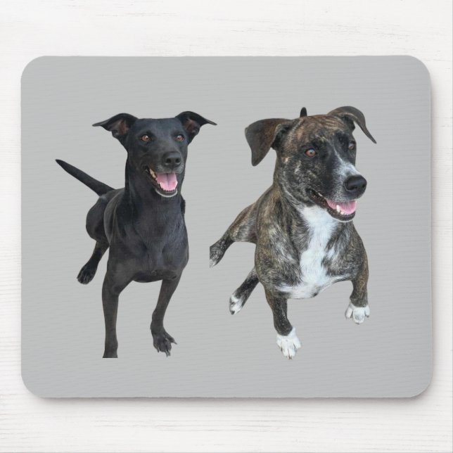 Mousepad Cães Carlos (Frente)