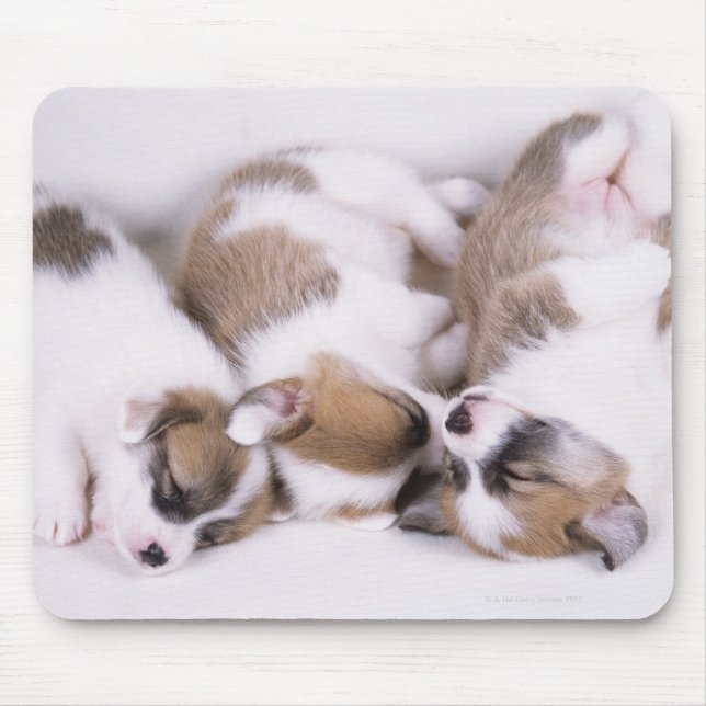Mousepad Cães de corgi com sono (Frente)