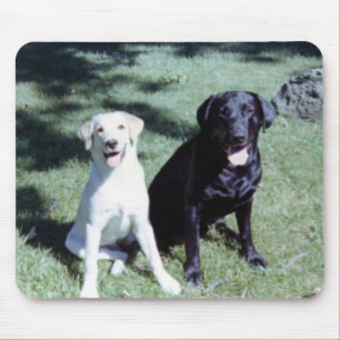 Mousepad Cães de Labrador