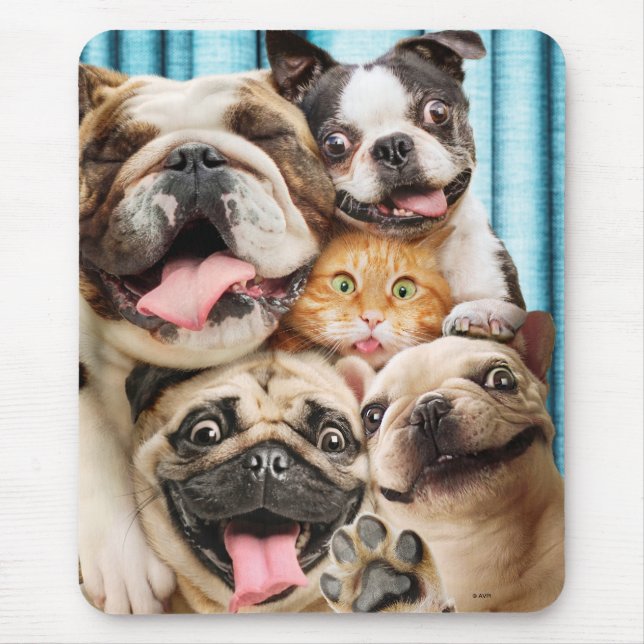 Mousepad Cães e uma Foto de Grupo de Gatos (Frente)