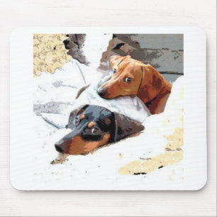 Mousepad Cães Napping