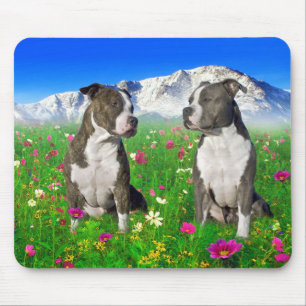 Mousepad Cães rajados & azuis de Staffordshire & de pitbull