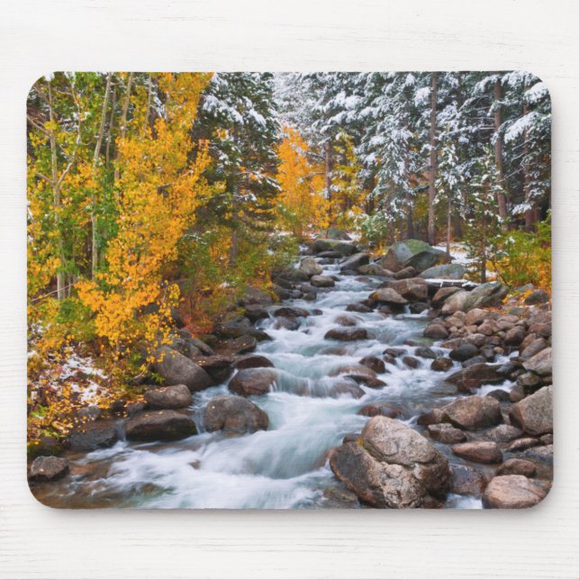 Mousepad Cai ao longo do riacho Bishop, Califórnia (Frente)