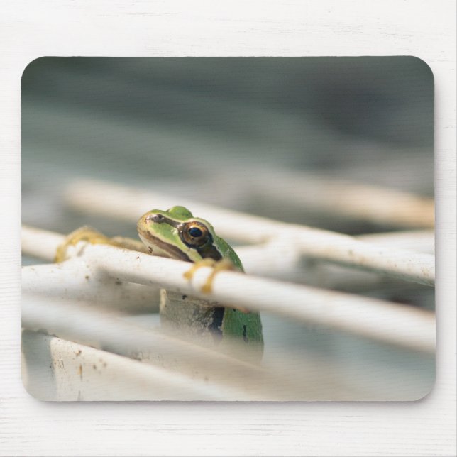 Mousepad Cair dentro lá! (Frente)