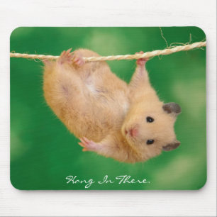 Mousepad Cair lá no hamster