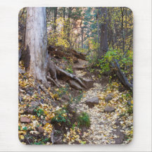 Cair sobre a trilha do West Fork