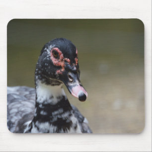 Mousepad Cairina moschata domestica