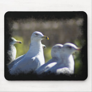 Mousepad Caivota em um trilho
