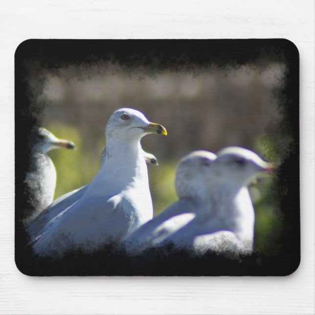 Mousepad Caivota em um trilho (Frente)