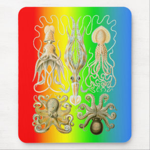 Mousepad Calamares e Octopods