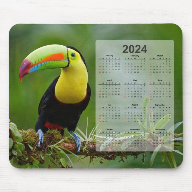 Mousepad Calendário Bela e Colorida do Toco Tropical 2024 (Frente)