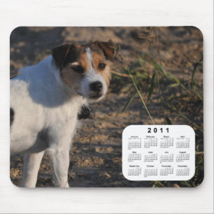 Mousepad Calendário de 2011 cães - Parson Jack Russell