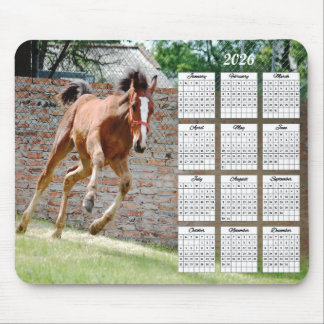 Mousepad Calendário de Execução de Colt 2026