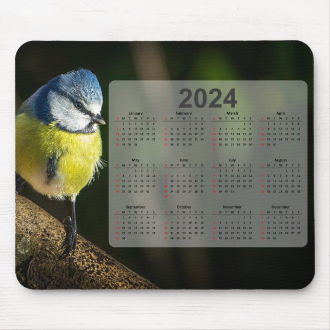Mousepad Calendário do Little Blue Tit Bird 2024 (Frente)
