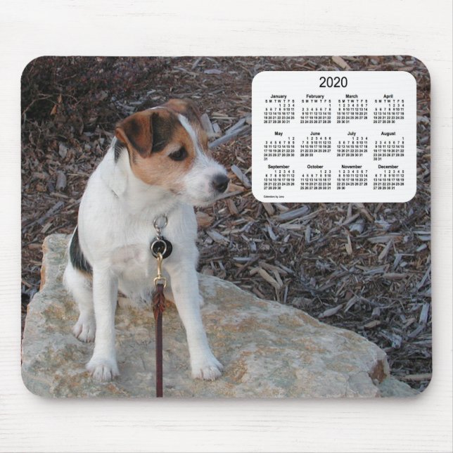 Mousepad Calendário dos cães Jack Russell Terrier 2020 por  (Frente)