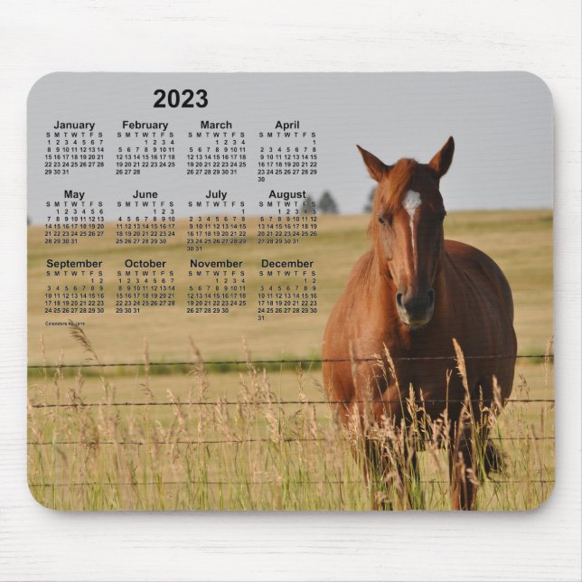 Mousepad Calendário dos Cavalos de 2023 por Janz (Frente)