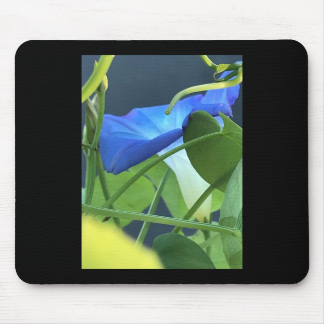 Mousepad Cálice-de-glória-da-manhã-azul (Frente)