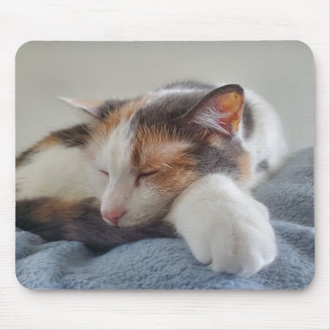 Mousepad Calico adormecido (Frente)