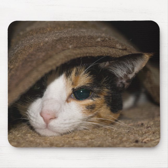 Mousepad Calico Taco (Frente)
