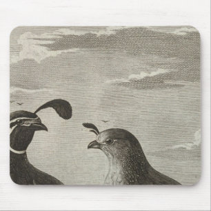 Mousepad Califórnia