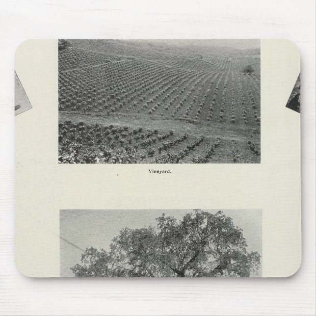 Mousepad Califórnia 4 (Frente)