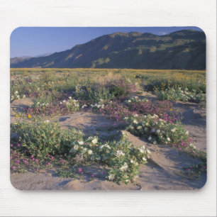 Mousepad Califórnia, Anza-Borrego Desert SP, Areia