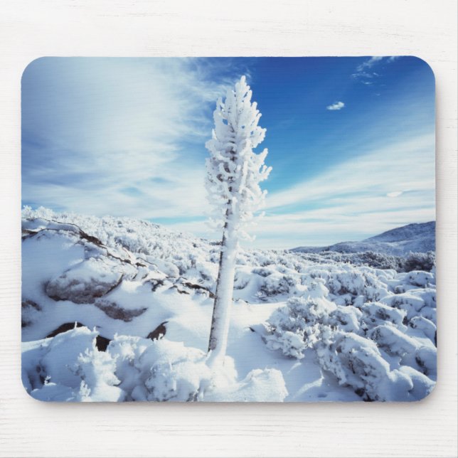 Mousepad Califórnia, Anza Borrego Desert State Park 2 (Frente)