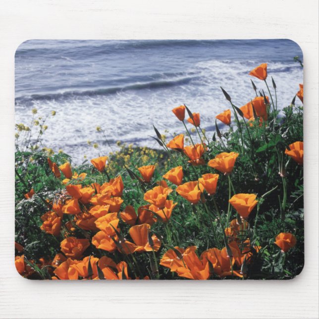 Mousepad Califórnia, Grande Costa de Sur, California Poppy (Frente)