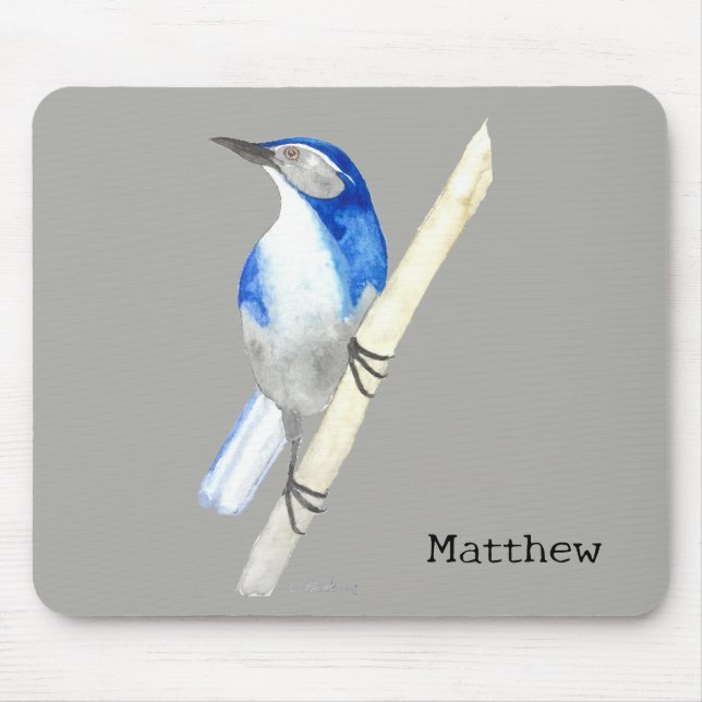Mousepad California Scrub Jay (Frente)