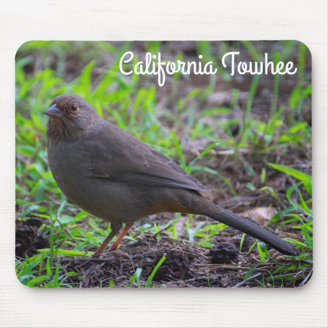 Mousepad California Towhere (Frente)