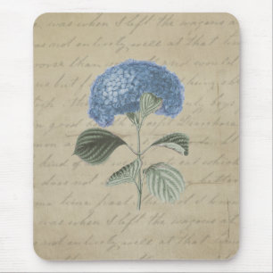 Mousepad Caligrafia antiga floral do Hydrangea azul do