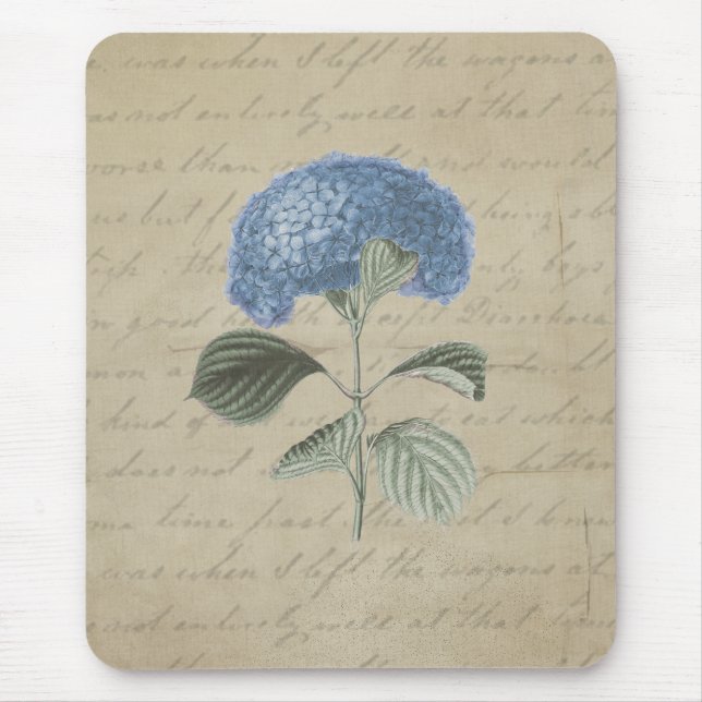 Mousepad Caligrafia antiga floral do Hydrangea azul do (Frente)