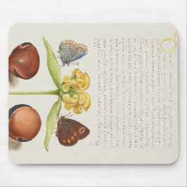 Mousepad Caligrafia, Jerusalém e feijão