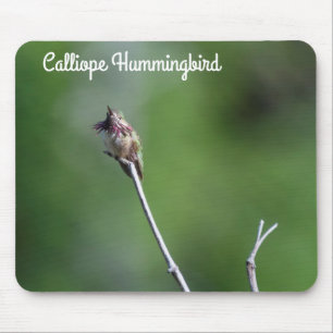 Mousepad Calliope Hummingbird