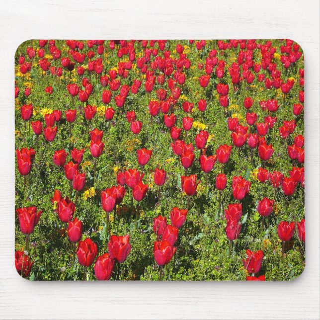 Mousepad Cama de Tulipas (Frente)