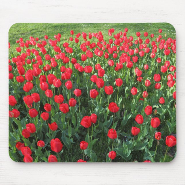 Mousepad Cama de Tulipas Vermelhas 01 (Frente)