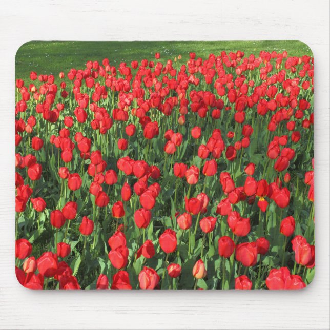 Mousepad Cama de Tulipas Vermelhas 02 (Frente)