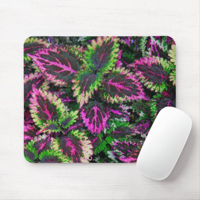 MOUSEPAD CAMADAS DE FOLHAS VERDE E MAGENTA COLEUS (Com mouse)