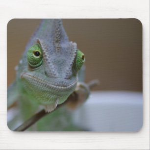 Mousepad Camaleão
