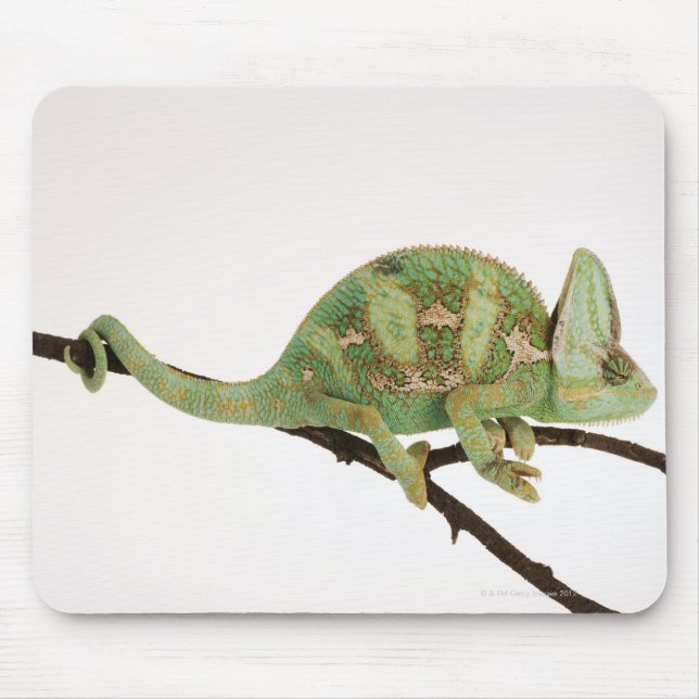 Mousepad Camaleão de cor suave com característica 2 (Frente)