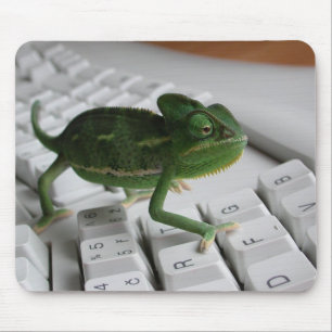 Mousepad Camaleão no teclado