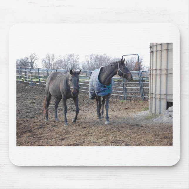 Mousepad Camaradas de Cavalo de Fazenda (Frente)