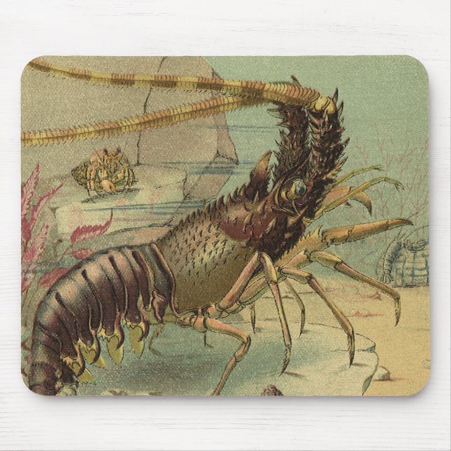 Mousepad Camarão, Vida Marinha Subaquática, Animais Marinho (Frente)