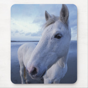 Mousepad Camargue Horse