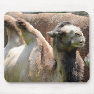 Mousepad Camel