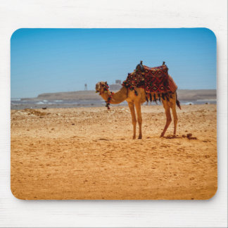 Mousepad Camel