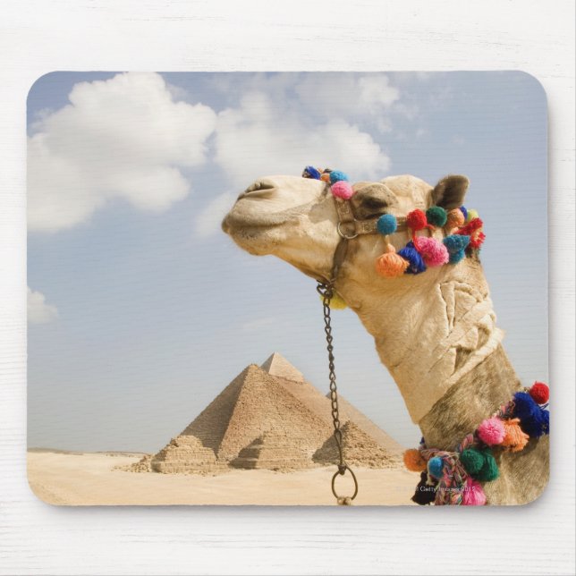 Mousepad Camel com Pirâmides Giza, Egito (Frente)