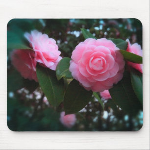 Mousepad Camelias