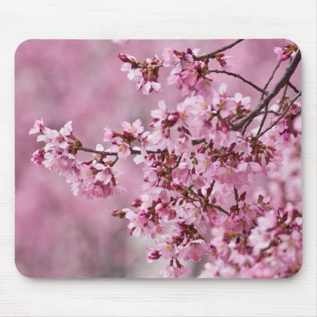 Mousepad Camélias Sakura Camadas Rosa Pastel (Frente)